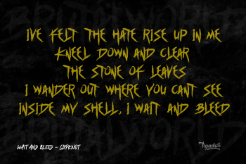 Wait And Bleed Slikpknot